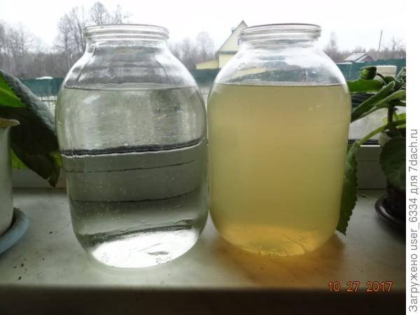 Через час в правой банке кислород воздуха окислил  растворенное двухвалентное железо до трехвалентной гидроокиси( ржавчины, проще говоря) и она выпала в осадок. В левой железо осталось в растворе.