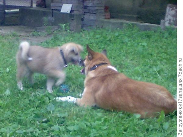 Борг и Наруми.