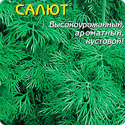 Укроп Салют, 2 г