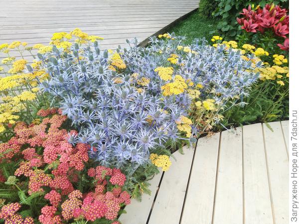 Частичка сада "Разгуляй Garden"