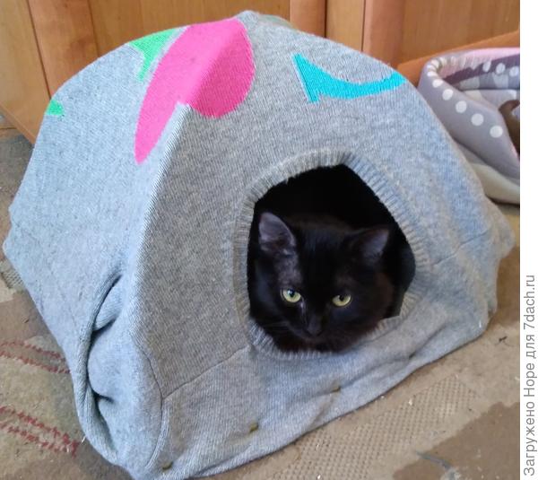 Наш Кассиопей в домике из свитера)