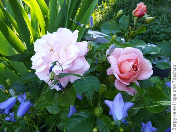 С днём рождения!