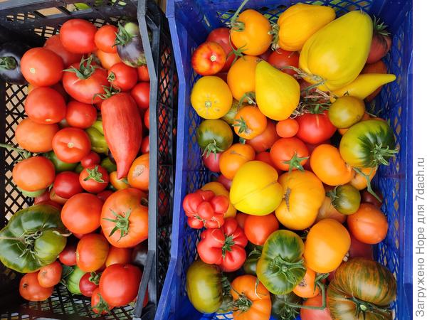 Количество для меня не особенно важно, главное- разнообразие!