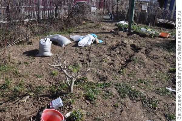 Весна, май 2017