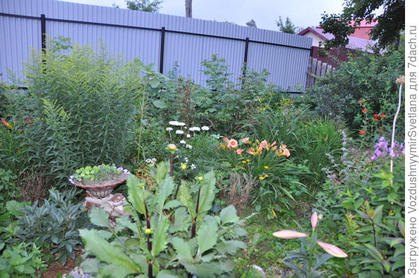 А такие сегодня...