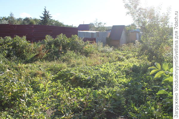 2016 год.8 Здравствуй, ужас!