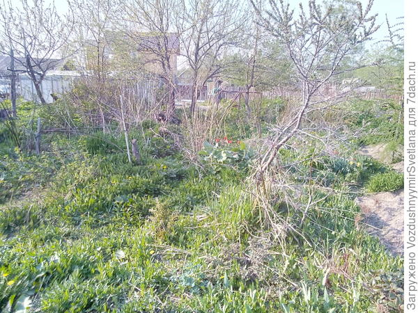 Смотрю на это, как на кошмар!