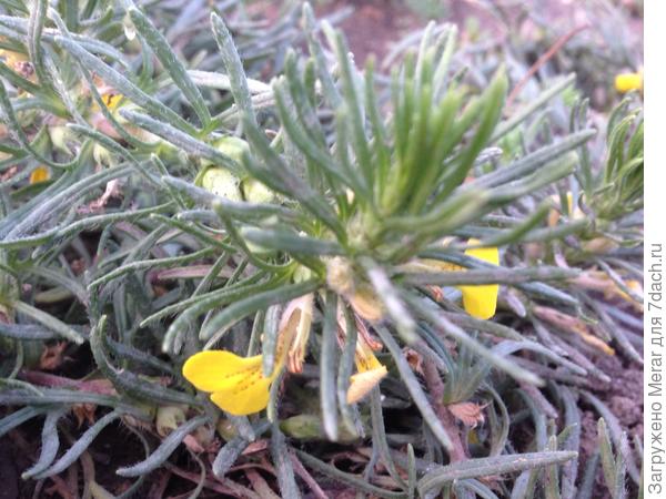 Более крупный план