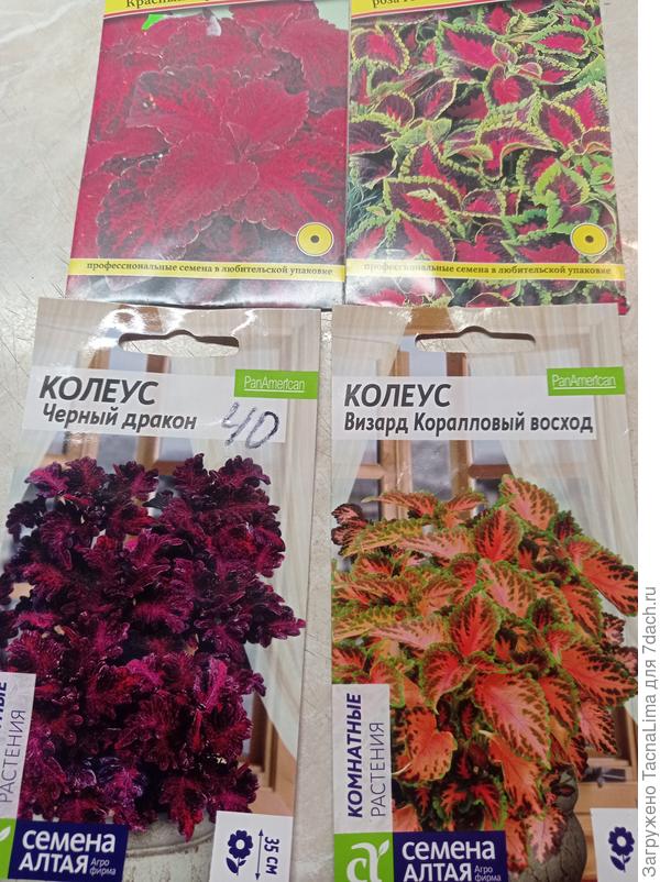 ну и еще посадила