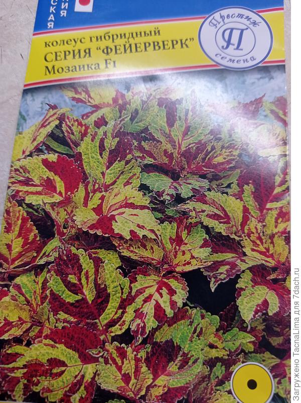 Будет такая