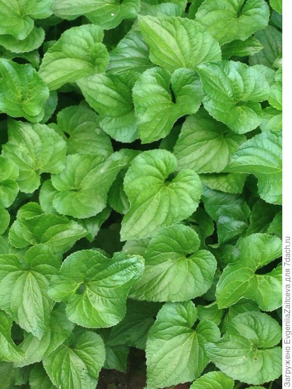 Помогите разобраться?