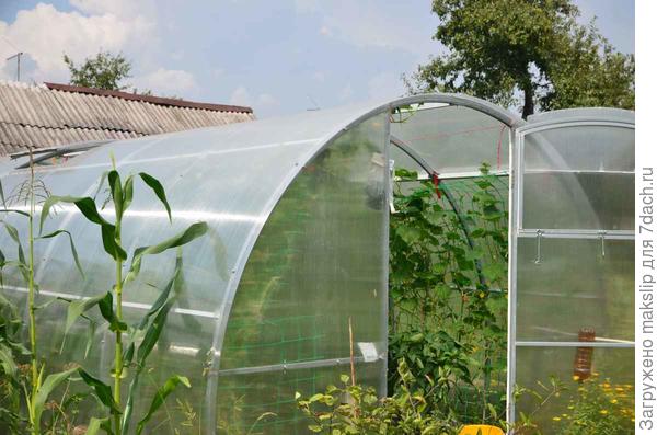 Огуречная теплица