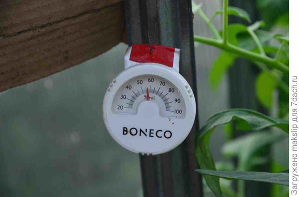 Влажность в норме.