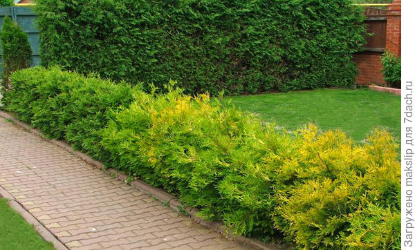 Брабант и еще...