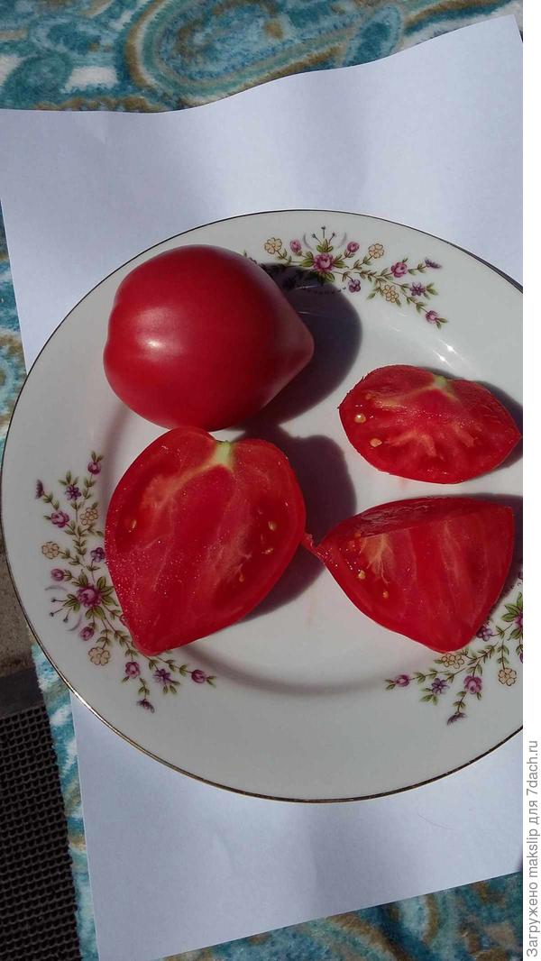 В разрезе