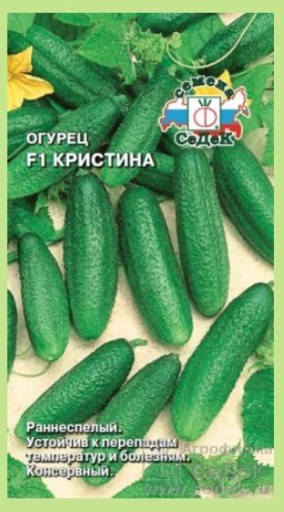 Кристина F1 - фирма Седек