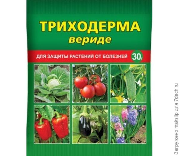 Триходерма