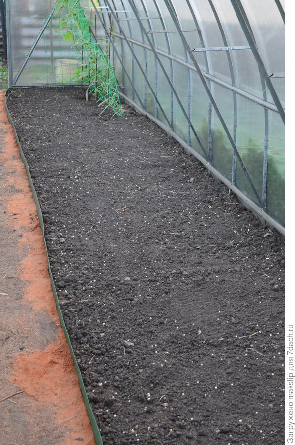 После посева сидератов