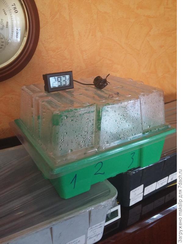 Проращиватель