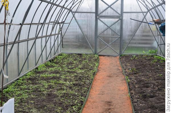 Грядки в теплице
