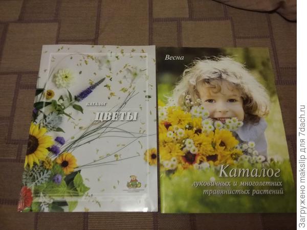 Каталог луковичных и цветочных культур