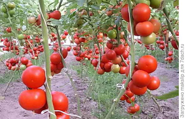 смысл такой