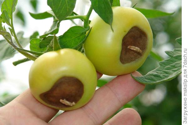 Вроде ничего плохого