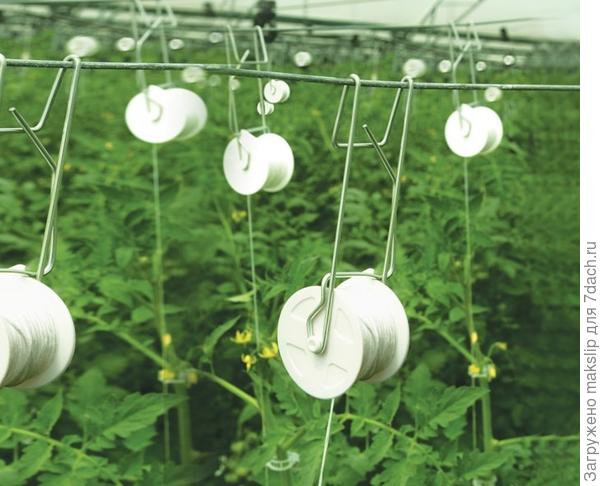 Катушка для приспускания