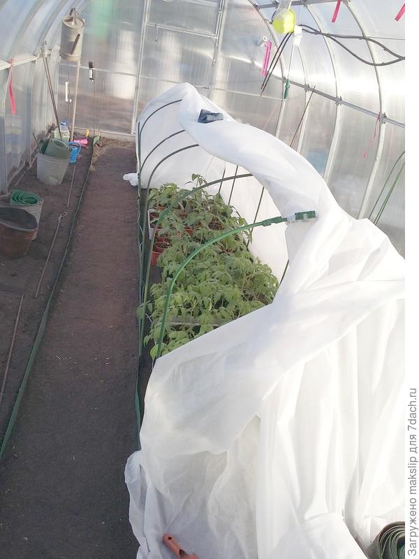 При компоновке в 3 грядки ранней весной удобно ставить парник под рассаду.