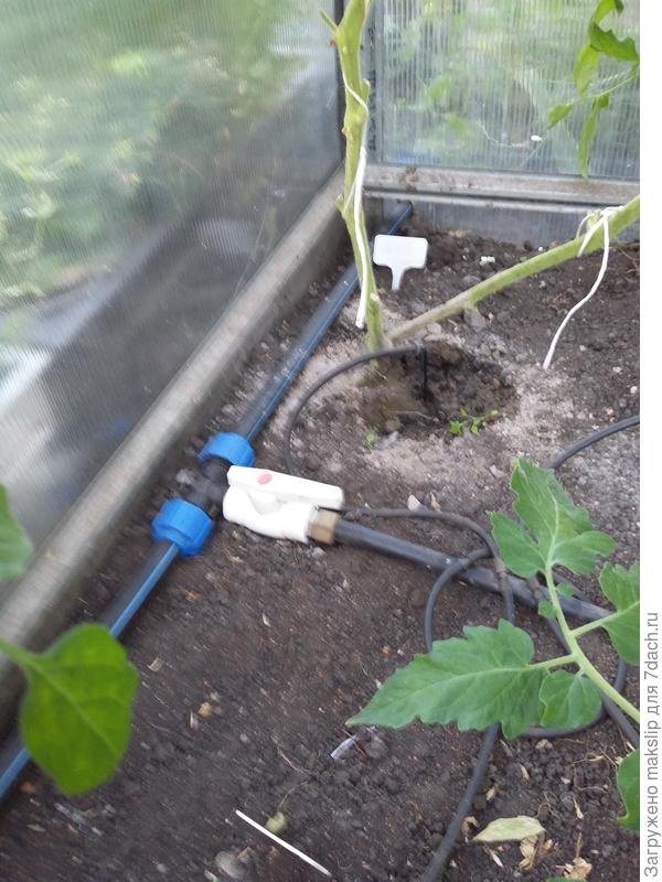 Вход в 1 теплицу