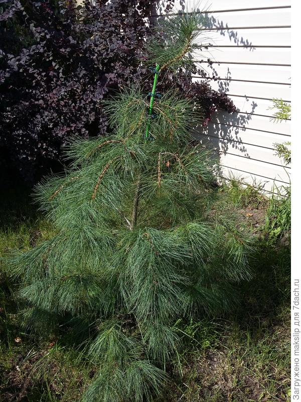 Еще маленькая