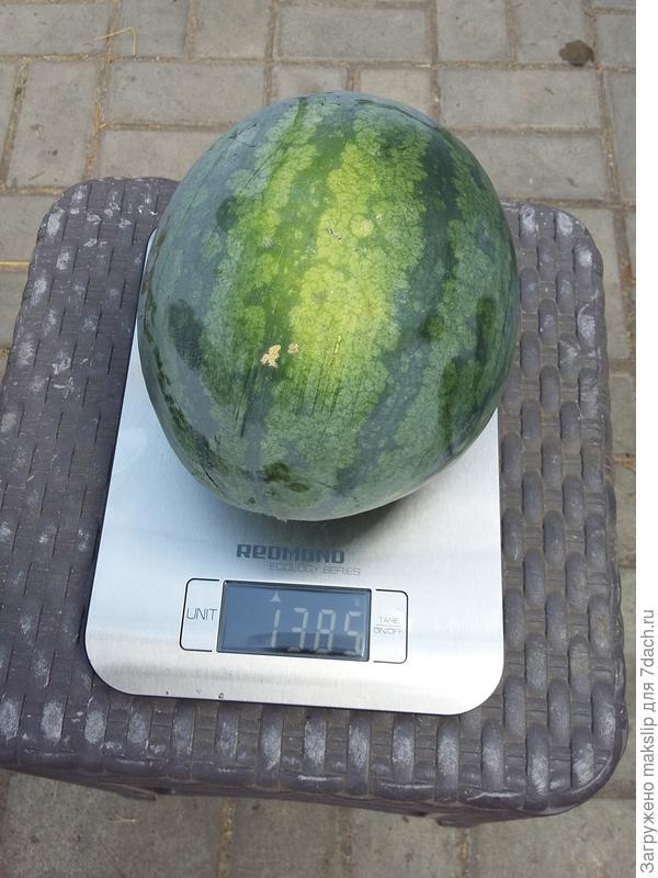 Порционный