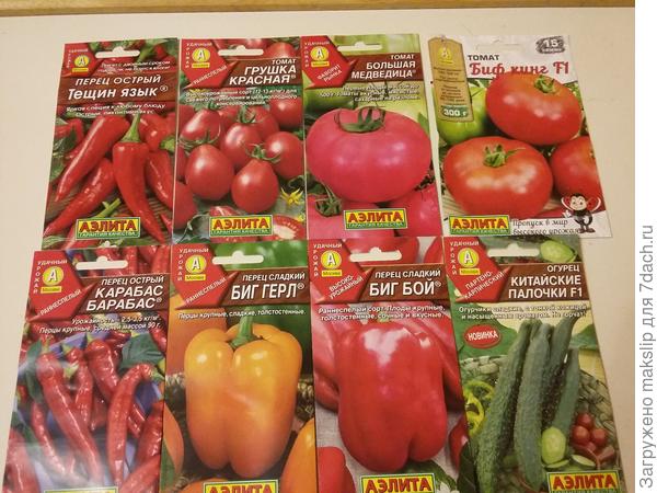 Вот мой выбор!