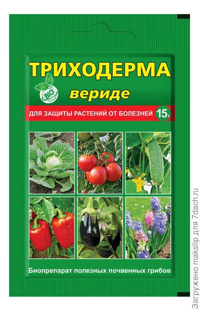 Триходерма вериде