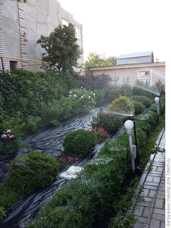 Дождеватели из Али