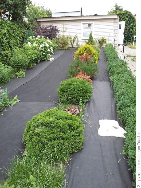 Чернее земли