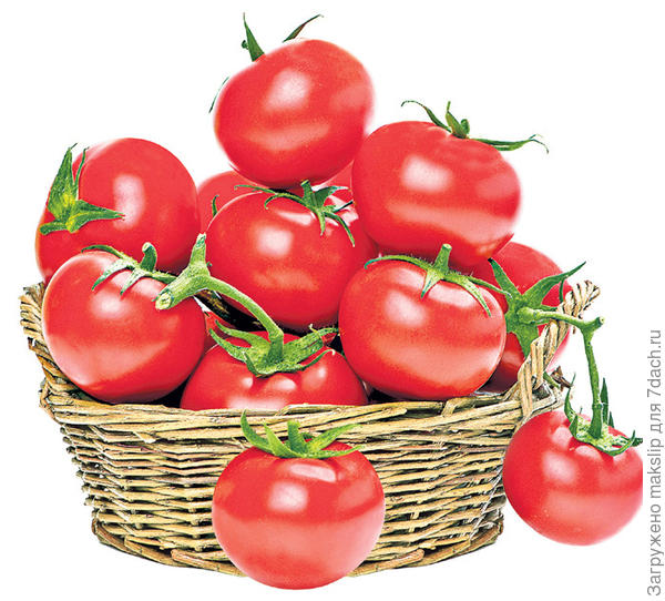 Многие дарят Вам цветы, а от меня - томаты!!!