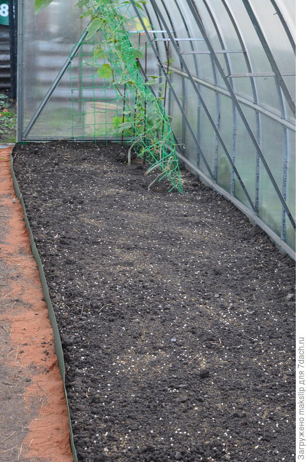 Посев горчицы в теплице