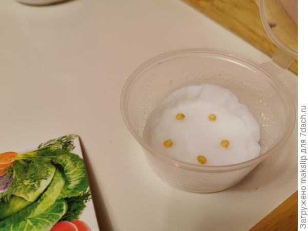 Соусник