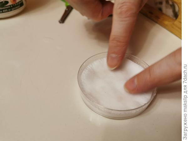 На семена укладывается второй диск и смачивается водой