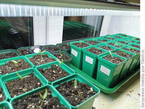 Сделал полку на подоконнике