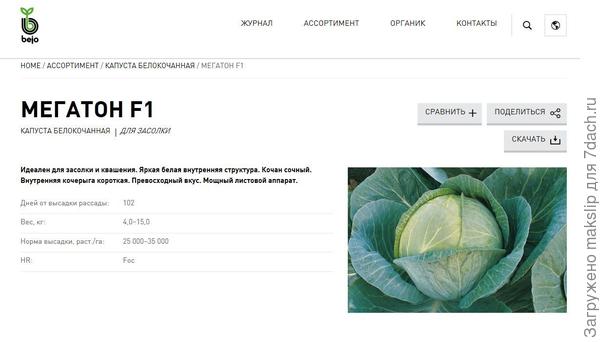 http://www.bejo.ru/kapusta-belokochannaya/megaton-f1-conventional