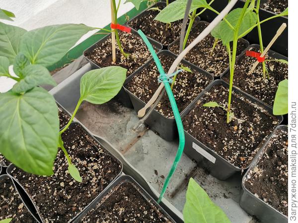 Датчики температуры