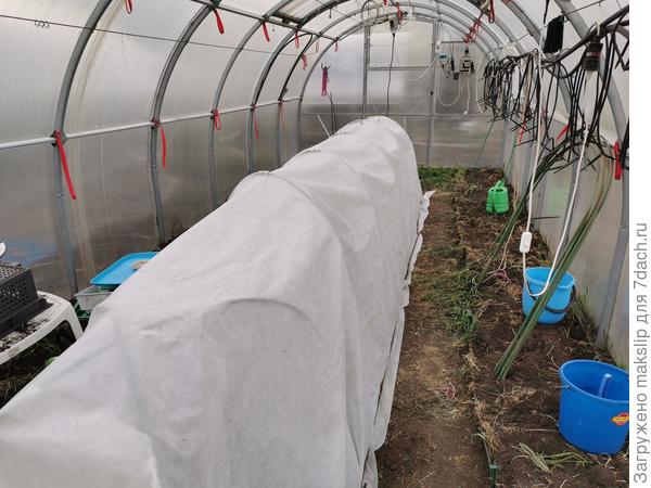 Вот что получилось