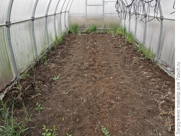 Третья ждет томаты и перцы