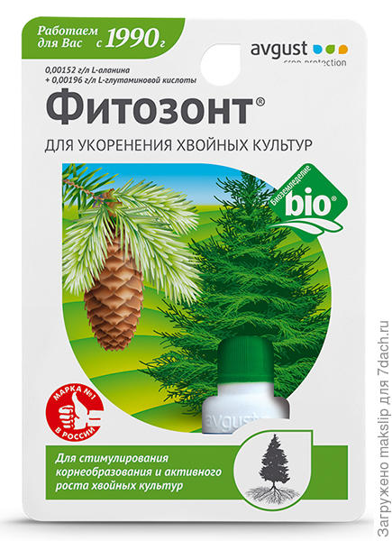 Фитозонт, не пугайтесь слово хвойный, это одно и тоже.