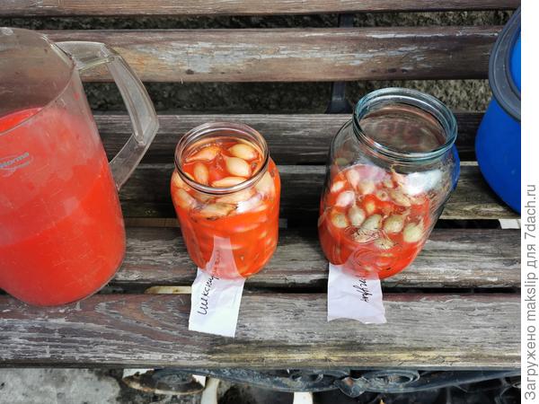 Замачивали лук и чеснок в растворе препарата Максим.