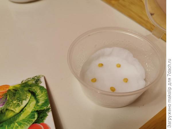 В контейнере из под соевого соуса к Роллам