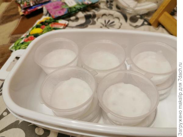 Помещаем в контейнер