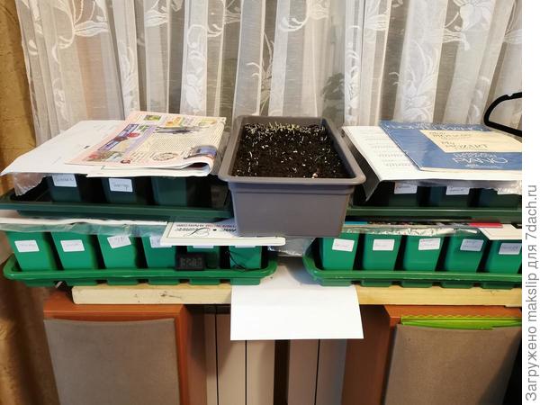 Шопен, Бетховен, Моцарт, Брамс. И много семенных каталогов!